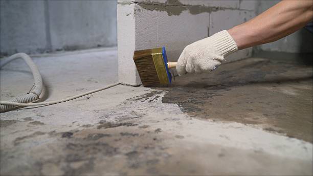 24/7 Emergency Wet Basement Repair experts in Lake View, AL